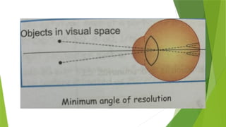 Visual Acuity is a measure of the spatial resolution of the eye or, in ...