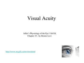 Comprehensive Overview of Visual Acuity and Its Limiting Factors in ...