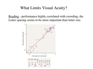 Comprehensive Overview of Visual Acuity and Its Limiting Factors in ...