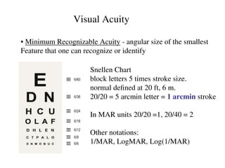 Comprehensive Overview of Visual Acuity and Its Limiting Factors in ...