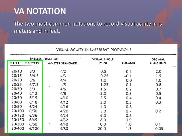 Visual Acuity Assessment.pdf | Eye and Vision Conditions | Diseases and ...