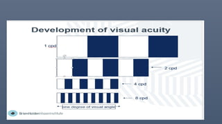 Comprehensive Visual Acuity Assessment and Development in Children | PPTX