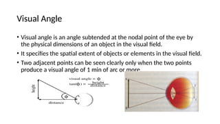 Visual Acuity in Adults And Its Interpretations.pptx