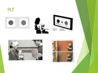 PLT
 