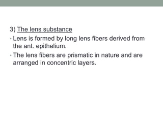 3) The lens substance
• Lens is formed by long lens fibers derived from
the ant. epithelium.
• The lens fibers are prismatic in nature and are
arranged in concentric layers.
 