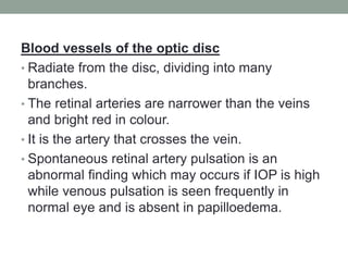 Blood vessels of the optic disc
• Radiate from the disc, dividing into many
branches.
• The retinal arteries are narrower than the veins
and bright red in colour.
• It is the artery that crosses the vein.
• Spontaneous retinal artery pulsation is an
abnormal finding which may occurs if IOP is high
while venous pulsation is seen frequently in
normal eye and is absent in papilloedema.
 