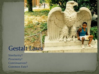 Similarity?
Proximity?
Continuation?
Common Fate?
 