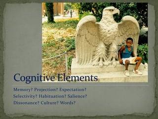 Memory? Projection? Expectation?
Selectivity? Habituation? Salience?
Dissonance? Culture? Words?
 