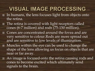 VISUAL AND DIGITAL IMAGE PROCESSING.pptx