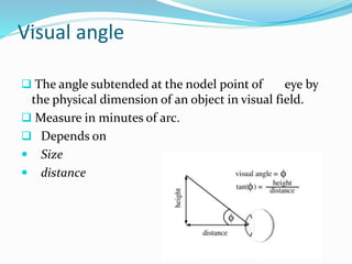Visual angle
 The angle subtended at the nodel point of eye by
the physical dimension of an object in visual field.
 Measure in minutes of arc.
 Depends on
 Size
 distance
 