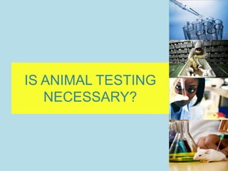 IS ANIMAL TESTING
NECESSARY?
 