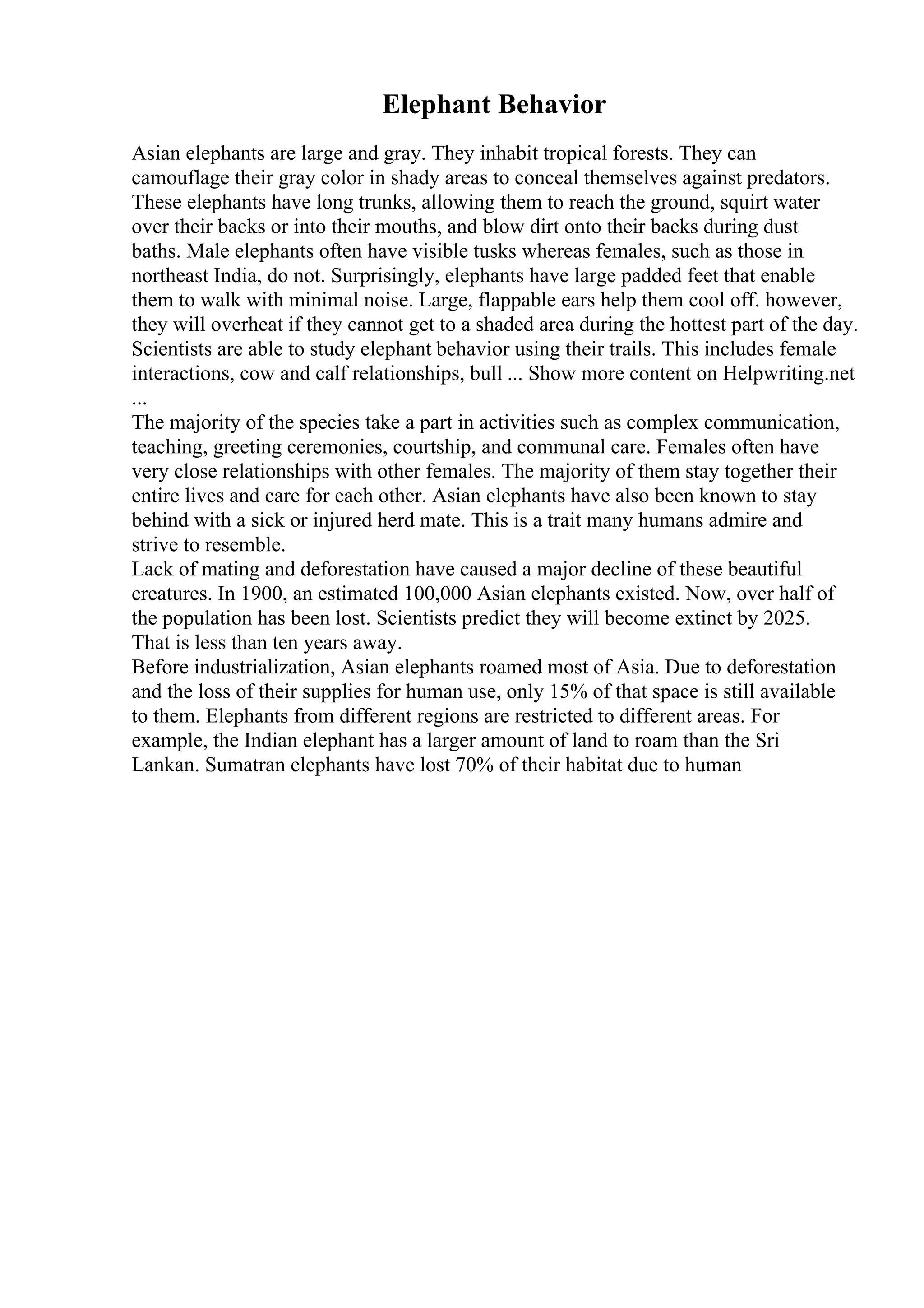 Elephant Behavior
Asian elephants are large and gray. They inhabit tropical forests. They can
camouflage their gray color in shady areas to conceal themselves against predators.
These elephants have long trunks, allowing them to reach the ground, squirt water
over their backs or into their mouths, and blow dirt onto their backs during dust
baths. Male elephants often have visible tusks whereas females, such as those in
northeast India, do not. Surprisingly, elephants have large padded feet that enable
them to walk with minimal noise. Large, flappable ears help them cool off. however,
they will overheat if they cannot get to a shaded area during the hottest part of the day.
Scientists are able to study elephant behavior using their trails. This includes female
interactions, cow and calf relationships, bull ... Show more content on Helpwriting.net
...
The majority of the species take a part in activities such as complex communication,
teaching, greeting ceremonies, courtship, and communal care. Females often have
very close relationships with other females. The majority of them stay together their
entire lives and care for each other. Asian elephants have also been known to stay
behind with a sick or injured herd mate. This is a trait many humans admire and
strive to resemble.
Lack of mating and deforestation have caused a major decline of these beautiful
creatures. In 1900, an estimated 100,000 Asian elephants existed. Now, over half of
the population has been lost. Scientists predict they will become extinct by 2025.
That is less than ten years away.
Before industrialization, Asian elephants roamed most of Asia. Due to deforestation
and the loss of their supplies for human use, only 15% of that space is still available
to them. Elephants from different regions are restricted to different areas. For
example, the Indian elephant has a larger amount of land to roam than the Sri
Lankan. Sumatran elephants have lost 70% of their habitat due to human
 