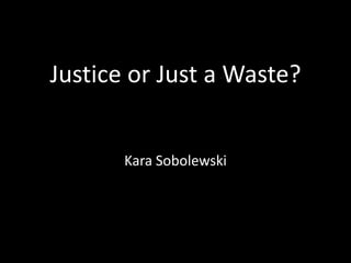 Justice or Just a Waste?
Kara Sobolewski
 