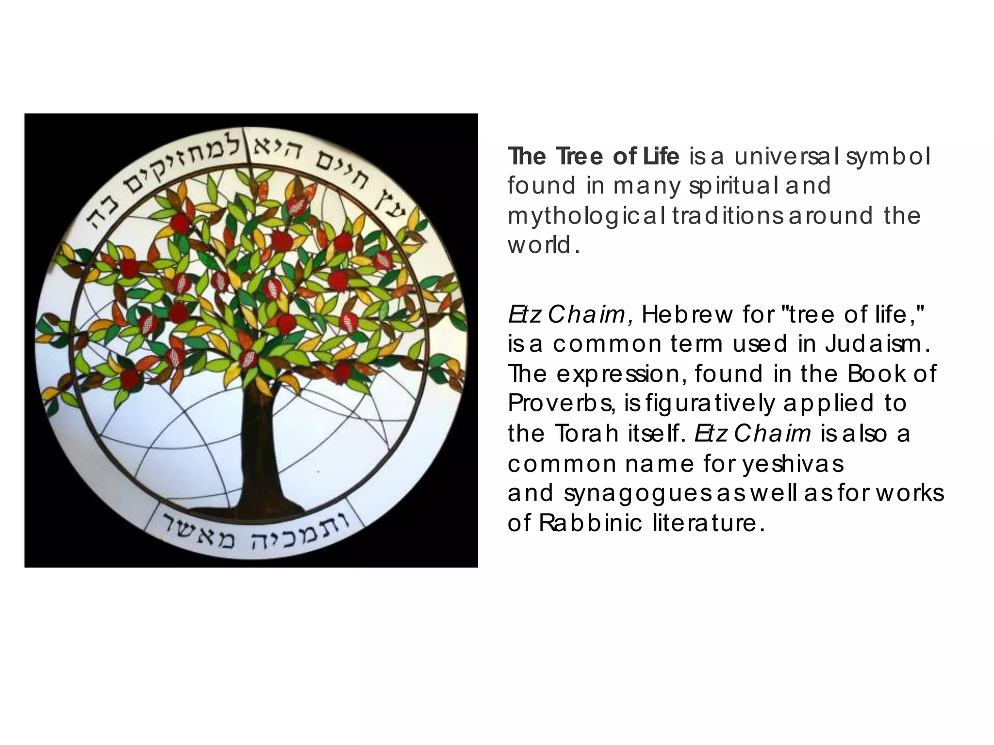 Etz Chaim, Hebrew for "tree of life,"
is a common term used in Judaism.
The expression, found in the Book of
Proverbs, is figuratively applied to
the Torah itself. Etz Chaim is also a
common name for yeshivas
and synagogues as well as for works
of Rabbinic literature.
The Tree of Life is a universal symbol
found in many spiritual and mythological
traditions around the world.
Etz Chaim, Hebrew for "tree of life,"
is a common term used in Judaism.
The expression, found in the Book of
Proverbs, is figuratively applied to
the Torah itself. Etz Chaim is also a
common name for yeshivas
and synagogues as well as for works
of Rabbinic literature.
The Tree of Life is a universal symbol
found in many spiritual and
mythological traditions around the
world.
 