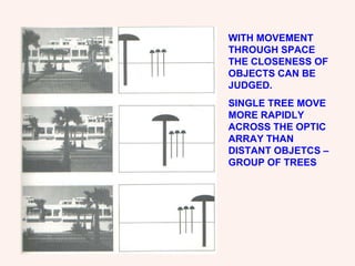 WITH MOVEMENT THROUGH SPACE THE CLOSENESS OF OBJECTS CAN BE JUDGED. SINGLE TREE MOVE MORE RAPIDLY ACROSS THE OPTIC ARRAY THAN DISTANT OBJETCS – GROUP OF TREES 