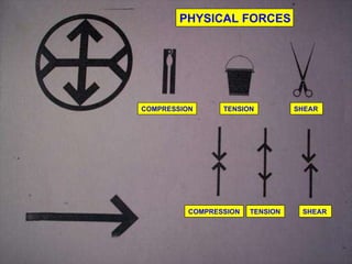 PHYSICAL FORCES COMPRESSION SHEAR TENSION COMPRESSION SHEAR TENSION 
