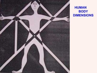 HUMAN  BODY DIMENSIONS 