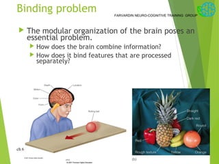 Visual attention | PPT