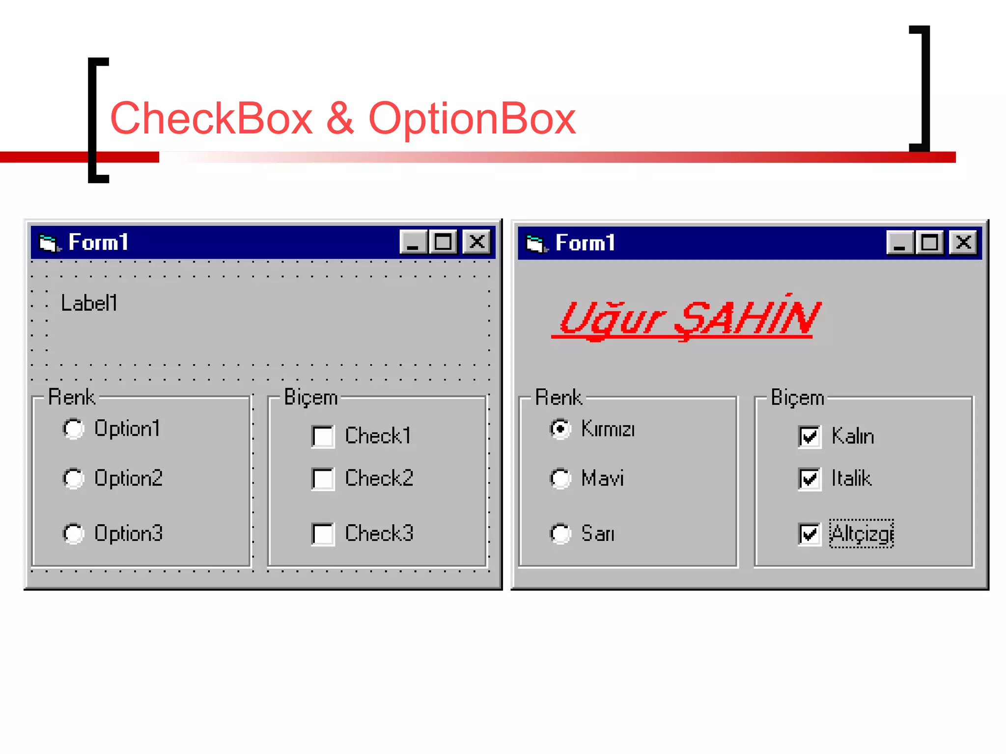 CheckBox & OptionBox

 