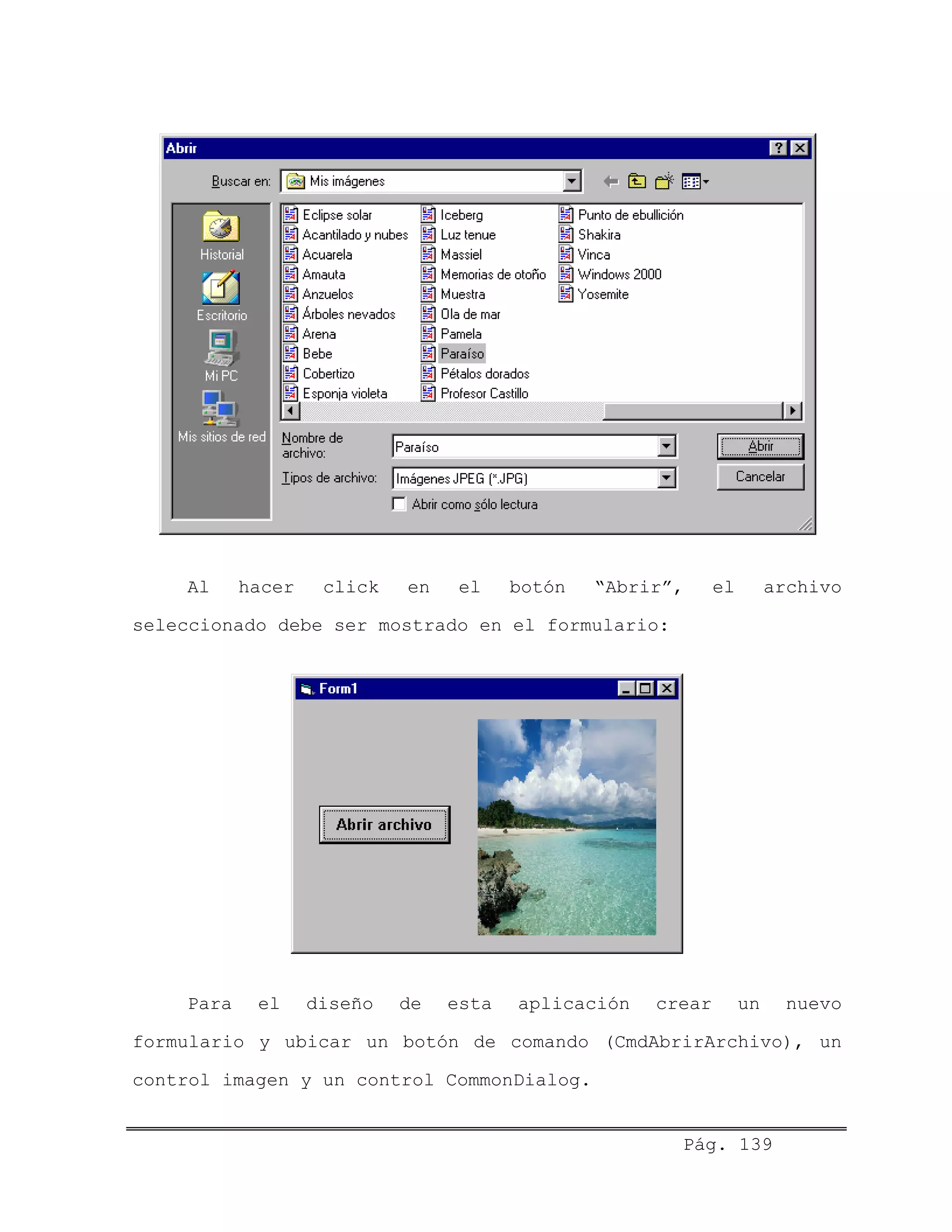 Al hacer click en el botón “Abrir”, el archivo
seleccionado debe ser mostrado en el formulario:
Para el diseño de esta aplicación crear un nuevo
formulario y ubicar un botón de comando (CmdAbrirArchivo), un
control imagen y un control CommonDialog.
Pág. 139
 