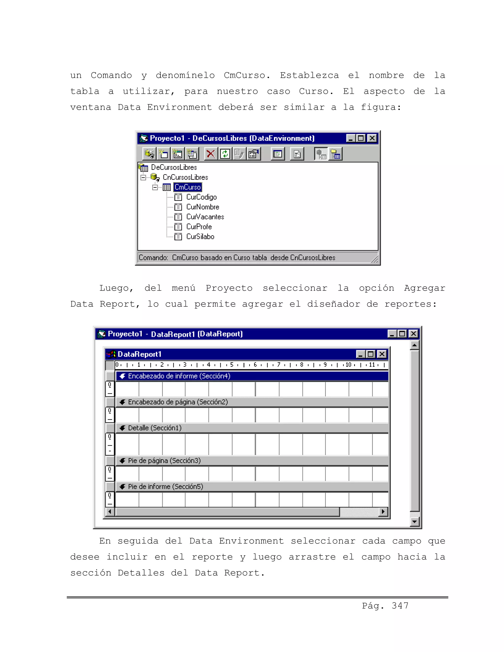un Comando y denomínelo CmCurso. Establezca el nombre de la
tabla a utilizar, para nuestro caso Curso. El aspecto de la
ventana Data Environment deberá ser similar a la figura:
Luego, del menú Proyecto seleccionar la opción Agregar
Data Report, lo cual permite agregar el diseñador de reportes:
En seguida del Data Environment seleccionar cada campo que
desee incluir en el reporte y luego arrastre el campo hacia la
sección Detalles del Data Report.
Pág. 347
 