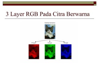 3 Layer RGB Pada Citra Berwarna
 