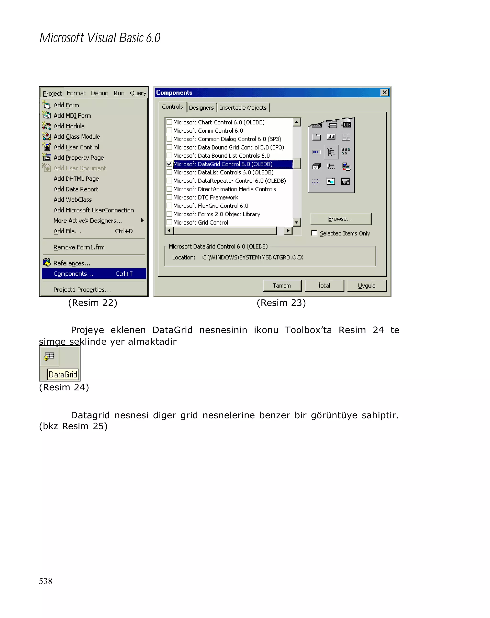 Microsoft Visual Basic 6.0

(Resim 22)

(Resim 23)

Projeye eklenen DataGrid nesnesinin ikonu Toolbox’ta Resim 24 te
simge seklinde yer almaktadir

(Resim 24)
Datagrid nesnesi diger grid nesnelerine benzer bir görüntüye sahiptir.
(bkz Resim 25)

538

 