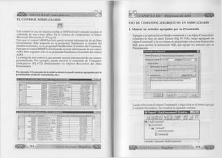VISUAL BASIC como debe ser... 
EL CONTROL MSHFLEXGRID 
Este control se usa de manera similar al MSFlexGrid y permite mostrar el 
contenido de una o mas tablas. En la ventana de componentes se llama: 
M icrosoft Hierarchical Flexgrid. 
Para que el control MSHFlexGrid pueda mostrar información de un Data 
Environment, debe asignarle en su propiedad DataSource el nombre del 
DataEnvironment y en su propiedad DataMember el nombre del Command. 
Para que el control MSHFlexGrid pueda mostrar información de un control 
ADO, debe asignarle sólo en su propiedad DataSource el nombre del control 
ADO. 
La ventaja de este control es que permite mostrar información de una manera 
personalizada. Por ejemplo, puede mostrar el contenido de Comandos 
Jerárquicos (Pg.472) alm acenados en objetos R ecordset del Data 
Environment. 
Por ejemplo: El contenido de la tabla Artículos lo puede mostrar agrupadas por la 
presentación, el año de vencimiento, etc.: 
1 2 /3 0 /0 1 
m . L i s t a d o d e A r t í c u l o « A g r u p a d o s p o r P R E S E N T A C I O N 
00008 6 /3 0 /0 0 00011 Im portal x 6 S ha c h é is 
1/ 7 /0 3 
00004 Pilka G otas 20 mi 
00006 
00007 A B -B fo n c o l 600 IM 
00009 Fenistil G otas F rasco 20 mi. 
Finisti! Jarabe Frasco 1 00 rnl 
0 0 0 1 2 
00013 Fluidasa iny x 2 mi 9/1 6 /0 0 
00001 
Frasco 
00010 
5 /8 /0 2 
töt^ i 
ü¡. Listado de Artículos Agrupados por AÑO DE VENCIMIENTO 
AÑO CODIGO NOMBRE PRESENTACION VALO RCO M PRA VENCIM IENTO 
Q 00006 AB-Broncol 300 IM Frasco 9.5 6 /1 5 /0 0 
00008 V enoruton Forle x 12 Comp. Caja 13 6 /3 0 /0 0 
2000 00009 Fenistil Gotas Frasco 20 ml. Frasco 13 6 /2 9 /0 0 
00010 FinistilJatabe Frasco 100 mi. Frasco 10 6 /2 8 /0 0 
00013 Fluidasa iny x 2 mi Frasco 13 9 /1 6 /0 0 
B 2001 00005 Panadol Antiqripal x GO tab Caja 4 12 /3 0 /0 1 
B 00001 Acaricida Crema x 60 gr. Pote 5 6 /3 0 /0 2 
00003 Fenistil x 20 Comprimidos Caja 13 1 /1 9 /0 2 
2002 
00004 Pilka Gotas 20 mi Frasco 23 1 0 /1 6 /0 2 
00007 A B -Broncol 600 IM Frasco 12 5 /1 /0 2 
00011 Importal x 6 S hachets Caja 20 1 /1 9 /0 2 
00012 Panalgin amp. x 2 mi Frasco 54 5 /8 /0 2 
B 2003 00002 Acaricida Loción x 60 mi. Frasco 10 1 /7 /0 3 
G r u p o E d it o r i a l M e g a b y t e ^ |||¡ ¡ | 
M. 514 
CAPITULO XII: Programación ADO W J P 
USO DE COMANDOS JERÁRQUICOS EN MSHFLEXGRID 
1. Mostrar los artículos agrupados por su Presentación 
Agregue a su aplicación un DataEnvironment y a su objeto Connection 1 
conéctelo la base de datos Tienda (Pag N° 438), luego agréguele un 
objeto Command 1 y en su ventana de propiedades seleccione Instrucción 
SQL para escribir la instrucción SQL que agrupe los artículos por su 
Presentación. 
P ropiedade s de C om m andl 
G eneial j Parámetros | Relación | Agrupar | Agregados | A van zadas | 
Conexión: Nombre de comando: |Commandl | Connectionl ~*] 
Origen de datos 
f Objeto de base de datos: j 
Nom bre de objeto: [~ 
(* Instrucción SQL: 
" 3 
G enerador SQ L... 
SELE C T P R E S E N T A C IO N FR O M A R T IC U L O S G R O U P BV 
P R E S E N T A C IO N O R D E R BY P R E S E N T A C IO N 
Aceptar Cancelar Aplig® A yuda 
Luego seleccione el objeto Commandl y haga click en el botón Agregar 
Comando Secundario. Se visualiza la siguiente ventana: 
Comando: Command2 desde Connectionl 
G r u p o E d it o r ia l M e g a b y t e 515 « T O 
 