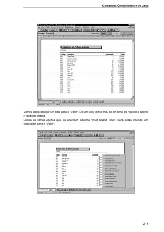 Comandos Condicionais e de Laço
214
Vamos agora colocar um total para o "Valor". Dê um click com o mou se em cima do registro e aperte
o botão da direita.
Dentre as várias opções que irá aparecer, escolha "Inset Grand Total". Será então inserido um
totalizador para o "Valor".
 