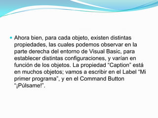 Visual Basic Presentacion | PPTX