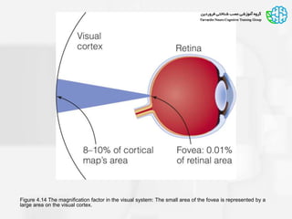 Small More Visual Visual brain | PPSX