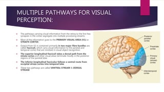 MULTIPLE PATHWAYS FOR VISUAL
PERCEPTION:
 The pathways carrying visual information from the retina to the first few
synapses in the cortex segregate into multiple processing streams.
 Most of the information goes to the PRIMARY VISUAL AREA (V1) or
STRAITE CORTEX.
 Output from V1 is contained primarily in two major fibre bundles are
called fasciculi, which carry visual information to the parietal and
temporal cortex that are involved in visual object recognition.
 The superior longitudinal fasciculi takes a dorsal path from the
striate cortex and other visual areas terminate mostly in the posterior
regions of the parietal lobe.
 The inferior longitudinal fasciculus follows a ventral route from
occipital striate cortex into temporal lobe.
 These two pathways are called VENTRAL STREAM & DORSAL
STREAM.
 