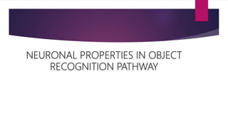 NEURONAL PROPERTIES IN OBJECT
RECOGNITION PATHWAY
 