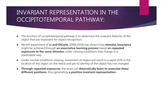 INVARIANT REPRESENTATION IN THE
OCCIPITOTEMPORAL PATHWAY:
 The function of occipitotemporal pathway is to determine the invariant features of the
object that are important for object recognition.
 Recent experiment of Li and DiCarlo (2008,2010) has shown how stimulus invariance
might be achieved through an associative learning process based on repeated
exposures to the same stimulus under viewing conditions that change in a
predictable way.
 Under normal conditions viewing, movement of object will result in a rapid shift in the
location of the object on the retina and yet to identity of the object has not changed.
 Through repeated exposures, the brain can theoretically learn to associate these
different positions, thus generating a position invariant representation.
 