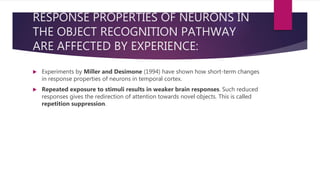 RESPONSE PROPERTIES OF NEURONS IN
THE OBJECT RECOGNITION PATHWAY
ARE AFFECTED BY EXPERIENCE:
 Experiments by Miller and Desimone (1994) have shown how short-term changes
in response properties of neurons in temporal cortex.
 Repeated exposure to stimuli results in weaker brain responses. Such reduced
responses gives the redirection of attention towards novel objects. This is called
repetition suppression.
 