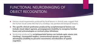 FUNCTIONAL NEUROIMAGING OF
OBJECT RECOGNITION:
 Various visual impairments produced by focal lesions in clinical cases suggest that
the human visual cortex like that of a monkeys, has parietal and temporal streams.
 The specific clinical syndromes produced by occipitotemporal lesions can
include visual object agnosia, prosopagnosia (inability to recognise familiar
faces) and achromatopsia or cortical colour blindness.
 Syndromes produced by occipitoparietal lesions can include optic ataxia (mis
reaching), visuospatial neglect, constructional apraxia, gaze apraxia,
akinetopsia (inability to perceive movement) and disorders of spatial
cognition.
 