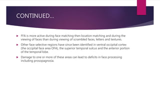 CONTINUED…
 FFA is more active during face matching then location matching and during the
viewing of faces than during viewing of scrambled faces, letters and textures.
 Other face selective regions have since been identified in ventral occipital cortex
(the occipital face area OFA), the superior temporal sulcus and the anterior portion
of the temporal lobe.
 Damage to one or more of these areas can lead to deficits in face processing
including prosopagnosia.
 