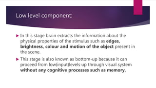 Low level component:
 In this stage brain extracts the information about the
physical properties of the stimulus such as edges,
brightness, colour and motion of the object present in
the scene.
 This stage is also known as bottom-up because it can
proceed from low(input)levels up through visual system
without any cognitive processes such as memory.
 