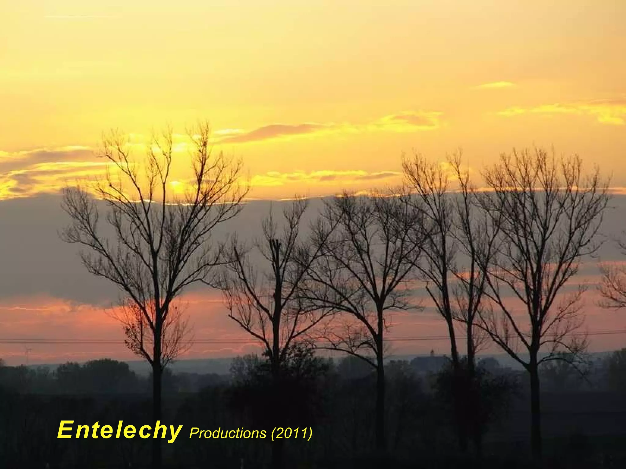 Entelechy   Productions (2011) 