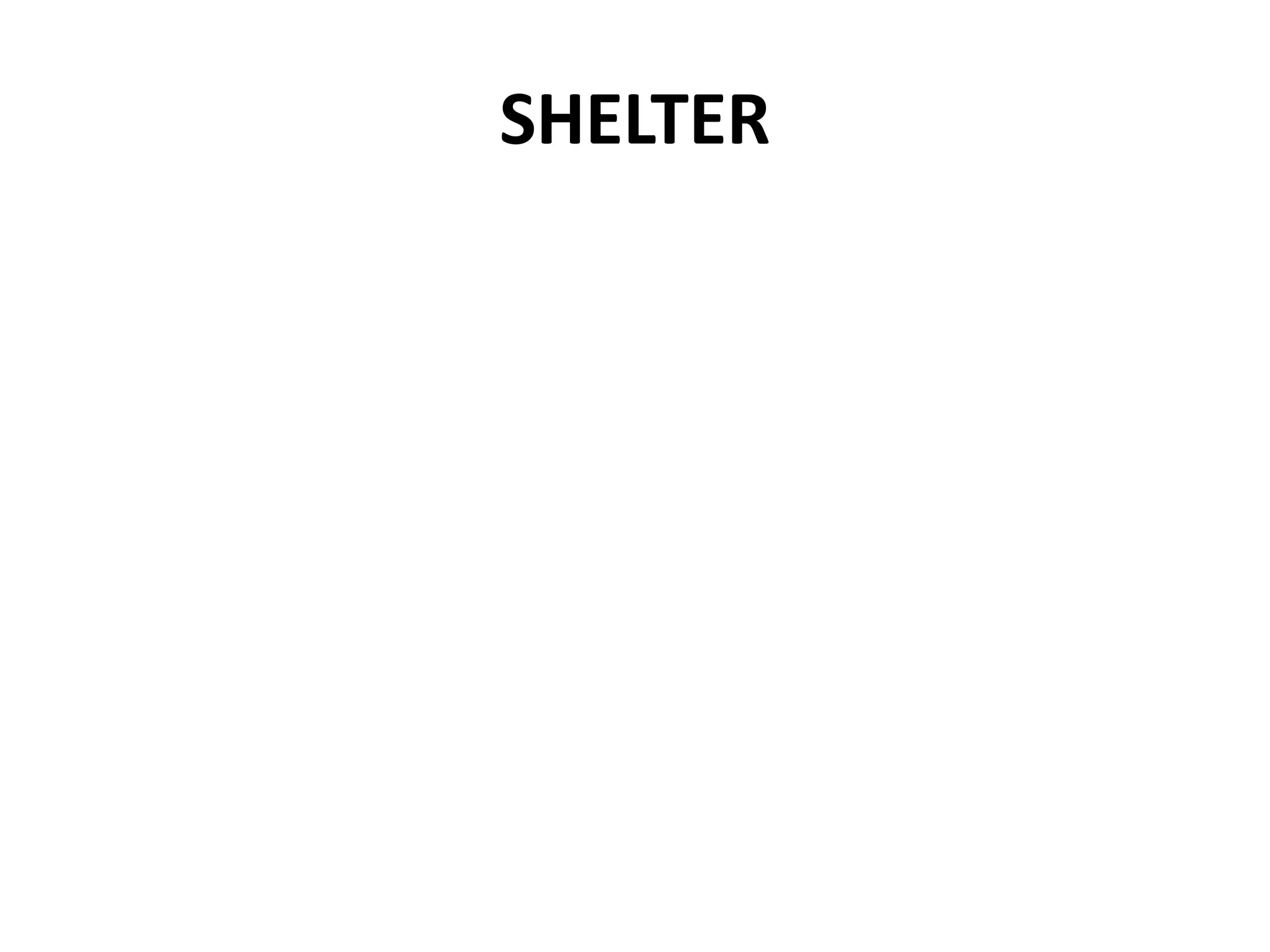 SHELTER
 