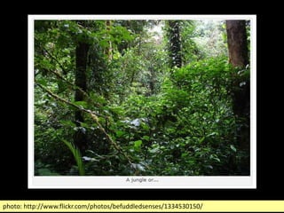 photo: http://www.flickr.com/photos/befuddledsenses/1334530150/
 