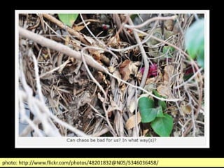 photo: http://www.flickr.com/photos/48201832@N05/5346036458/
 