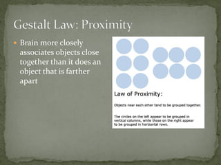  Brain more closely
associates objects close
together than it does an
object that is farther
apart
 
