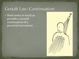  Brain seeks as much as
possible a smooth
continuation of a
perceived movement
 