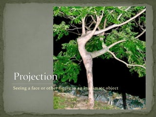 Seeing a face or other figure in an inanimate object
 