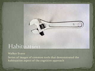 Walker Evans
Series of images of common tools that demonstrated the
habituation aspect of the cognitive approach
 