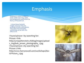 Visual composition slideshow - John Wurtz | PPTX