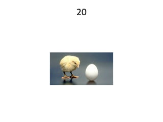20 