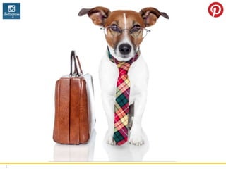 3 
Business 
 Dogs make the best business people 
 Being in business makes us work like a dog 
 Dogs are cute… 
 