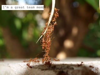 I’m a great team member